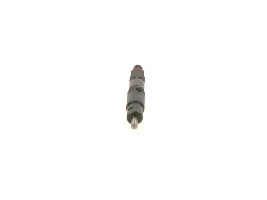 0020172921 Komple Enjektör | 0 432 231 663 BOSCH