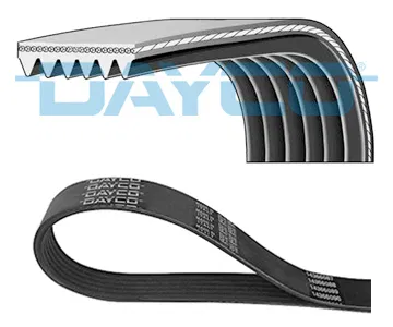 3648144 Kanallı Kayış | 6PK1070PM DAYCO