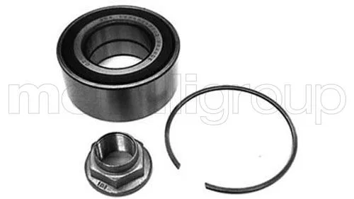 RUD100150 Teker Kiti 75(RJ)-1.8-1.8TURBO-2.0CDT-2.0CDTİ-2.0V | 6192304 CIFAM