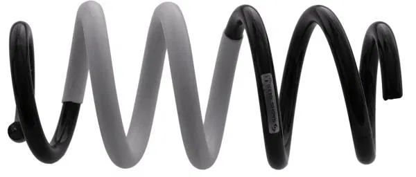 48231-4232048231-42420 Coil Spring Toyota RAV 4 | 994830 SACHS