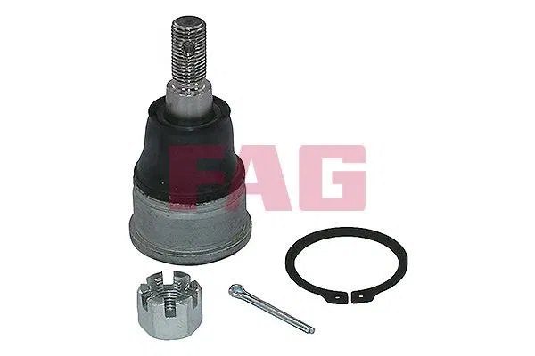 51220S9A982 Aks Kafası Honda CR-V II | 825042410 FAG
