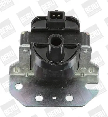 377905105D Ateşleme Bobini | ZS314 BERU