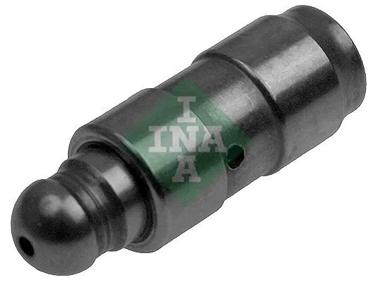 7701071145 Pivot Element | 420008710 INA