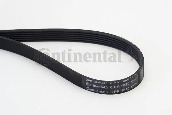 71739915 V Kayısı 6PK1840 | 6PK1840 CONTINENTAL