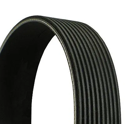 Multi V-Belt | 10PK2495 CONTINENTAL