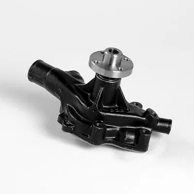 1610087381 Water Pump Daihatsu Rocky Hard | 987917 GK
