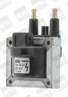 7700854306 Ateşleme Bobini | ZS317 BERU