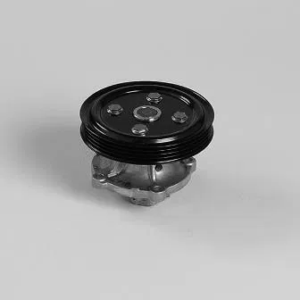 1740073822 Water Pump | 987519 GK