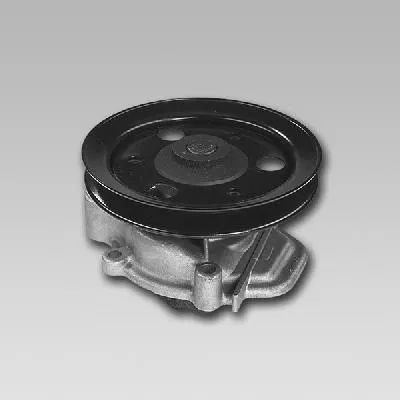19110657000 Water Pump | 987801 GK
