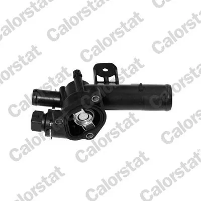 110602309R Termostat 89 °C Renault Megane II 02-08 Clio | TH6393.89J VERNET