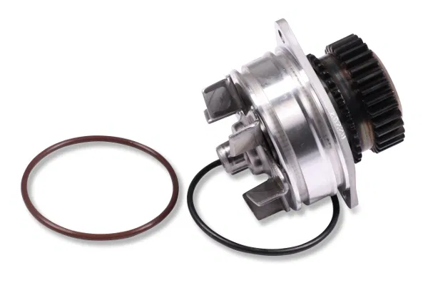 B1010JK20A Water Pump | 987389 GK