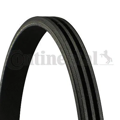 PY0115908 Multi V-Belt | 3PK817ELAST CONTINENTAL