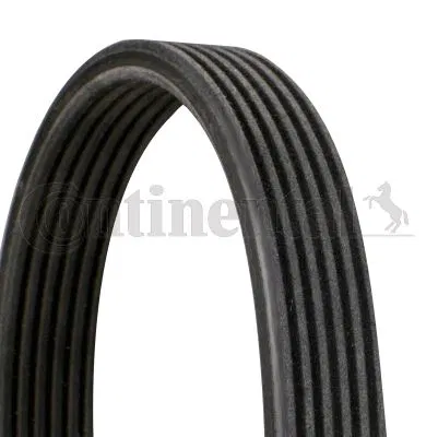 30731808 Kanallı V Kayışı Volvo C70 S40 S60 S70 S80 V40 V70 V70XC XC70 XC90 68432D | 6DPK1841 CONTINENTAL