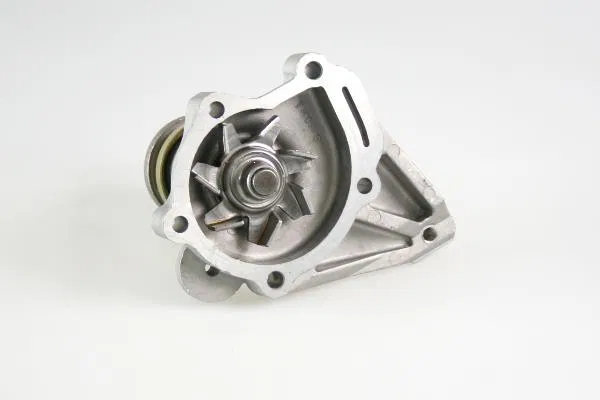 1740073820 Water Pump | 987507 GK