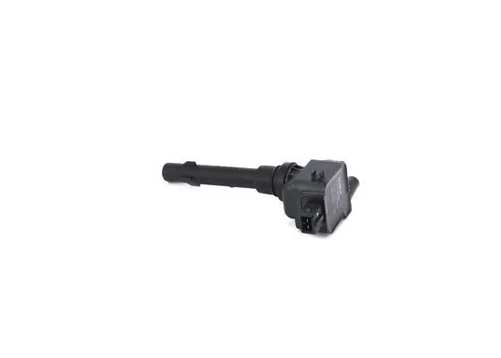 QIN19010600F6004 Ateşleme Bobini G3-S6 | F01R00A062 BOSCH