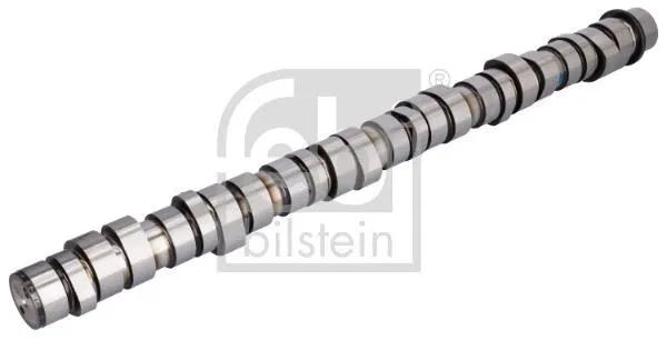 7403165224 Eksantrik Mili Renault | 185009 FEBI