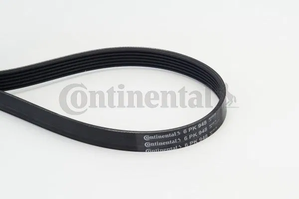 500346828 V Kayısı 6PK948 | 6PK948 CONTINENTAL
