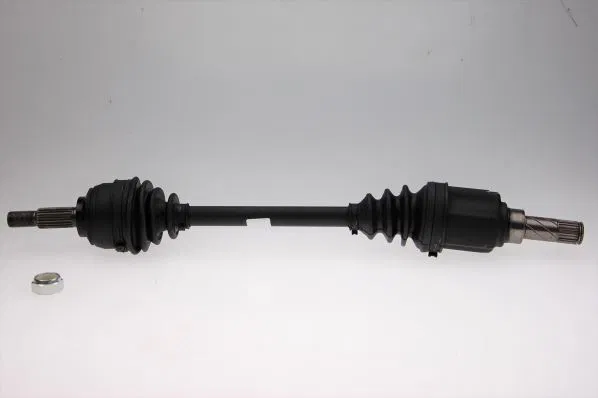 391019232R Komple Aks | 306721 GKN