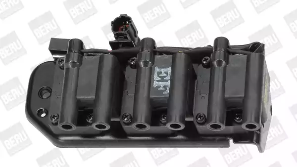 ZS269 Ateşleme Bobini | BERU
