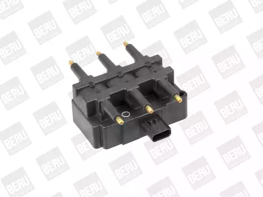 ZS455 Ateşleme Bobini | BERU