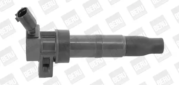 Atesleme Bobını | ZS548 BERU