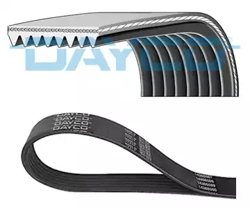 8PK1668HD Kanallı Kayış | DAYCO