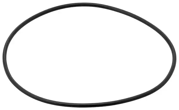 Seal Ring, Compressor | 004.160 ELRING