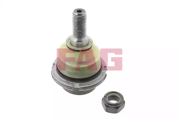 Aks Kafası | 825026510 FAG