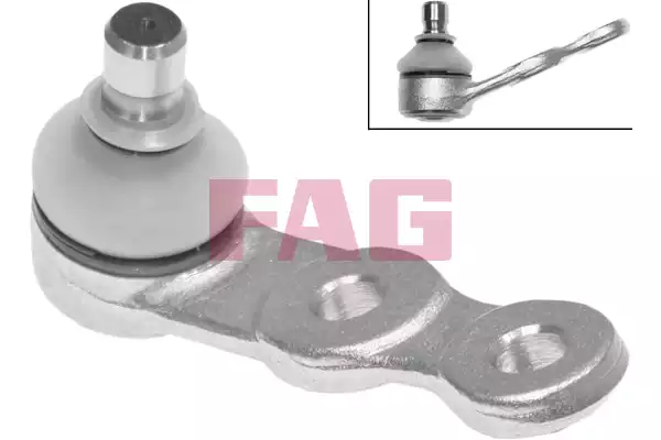 Aks Kafası | 825029610 FAG