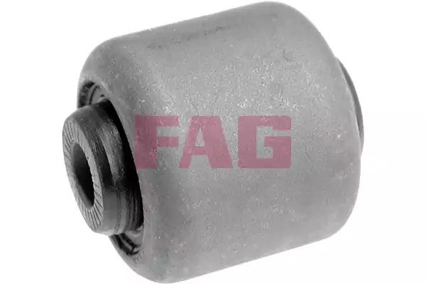 Salıncak Burcu On Arka Sol Sag BMW E28 E34 E24 E32 E31 E60 E83 E53 E70 | 829000410 FAG