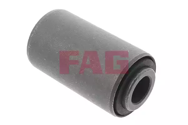 Mount Spring | 829045010 FAG