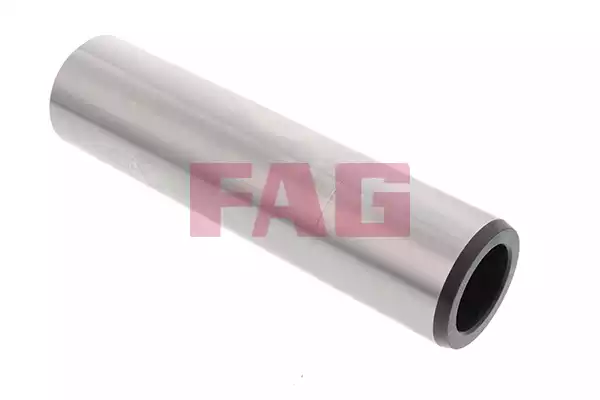 Kingpin | 830004230 FAG
