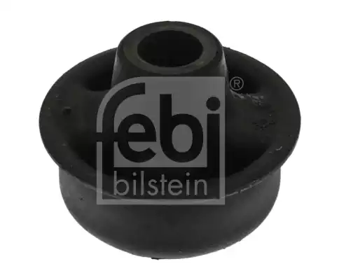 Salincak Burcu | 02015 FEBI
