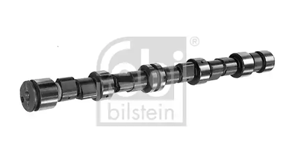 Eksantrik Mili | 02993 FEBI