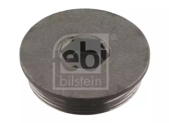 Baslik Civata | 04819 FEBI