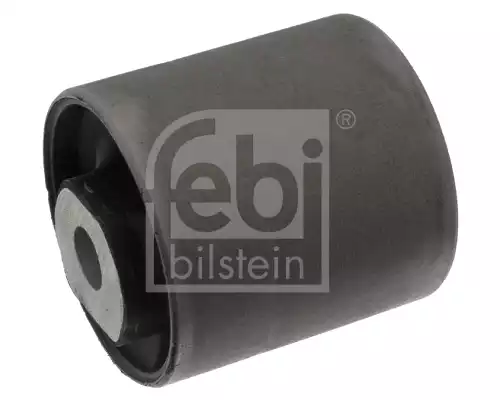 Salincak Burcu | 100354 FEBI