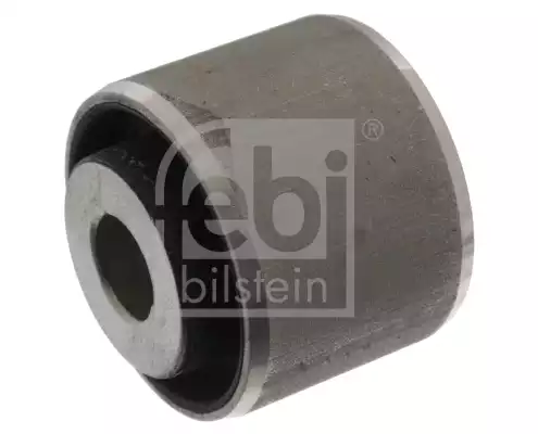 Salincak Burcu | 100461 FEBI