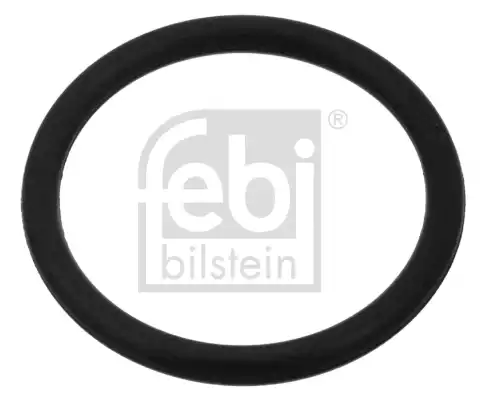 Keçe | 100998 FEBI
