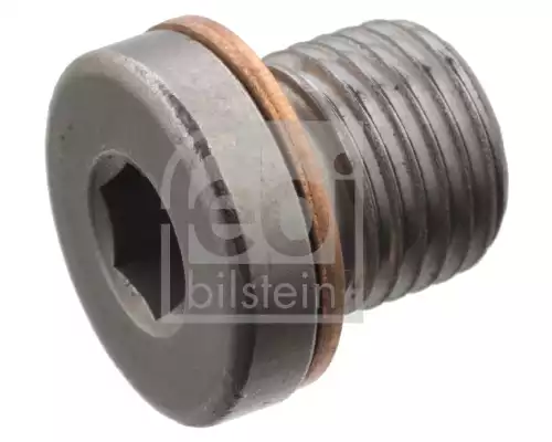 Baslik Civata | 101020 FEBI