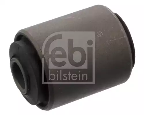 Salincak Burcu | 10303 FEBI