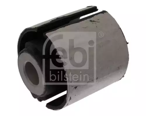 Salincak Burcu | 10852 FEBI