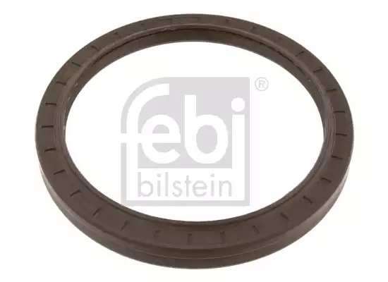 Sanziman Keçesi | 17547 FEBI