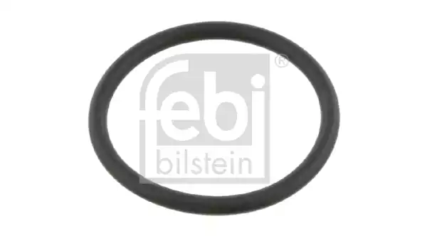 O-Ring | 18184 FEBI