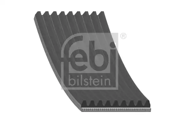 V Kayisi | 29099 FEBI