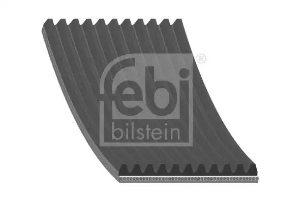 V Kayisi | 29113 FEBI