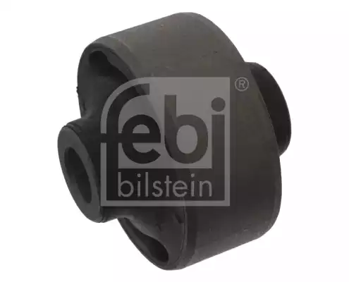 Salıncak Burcu | 29406 FEBI