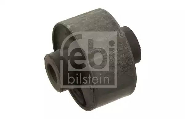 Salincak Burcu | 30427 FEBI
