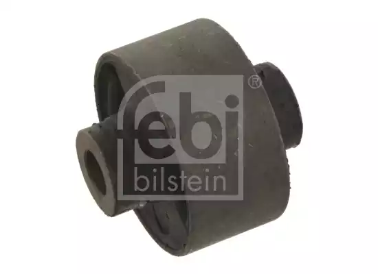 Salincak Burcu | 30431 FEBI