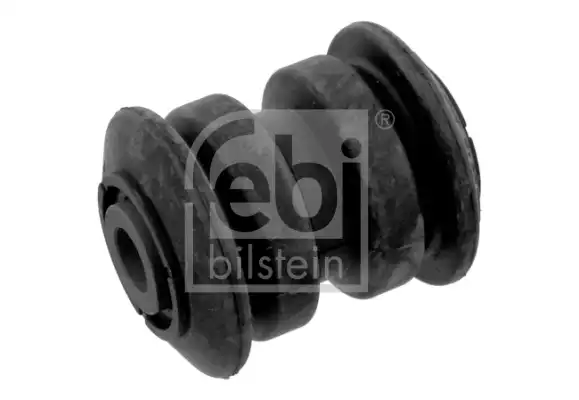 Salincak Burcu | 31479 FEBI