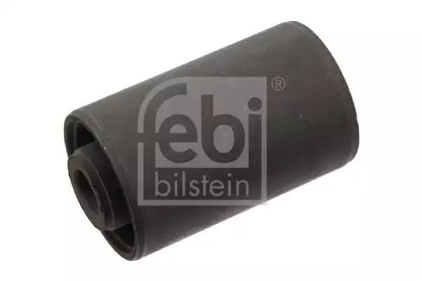 Salincak Burcu | 31804 FEBI